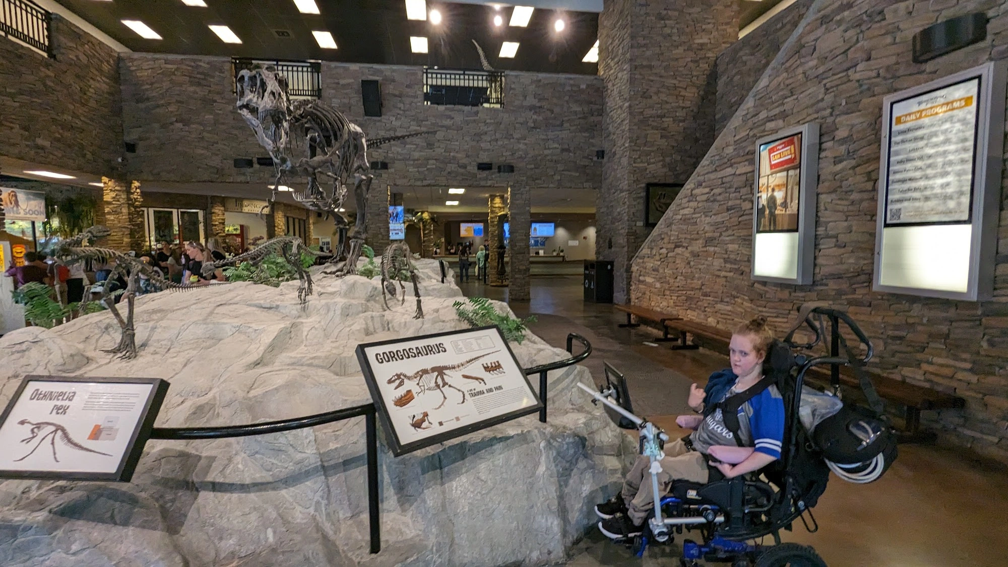 A wheelchair user with a mounted communication device explores a museum exhibit.